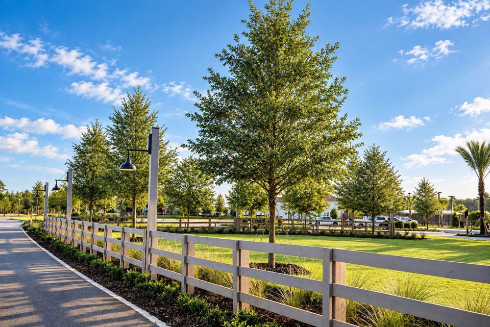 Sun State Landscaping Maintenance Nocatee