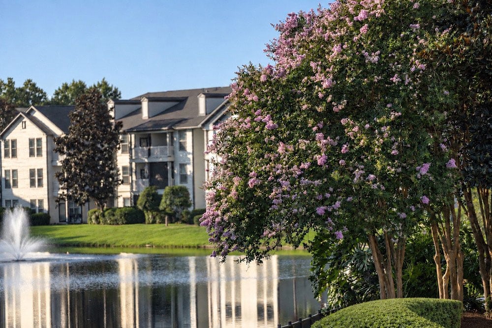 Sun State Landscaping Multifamily
