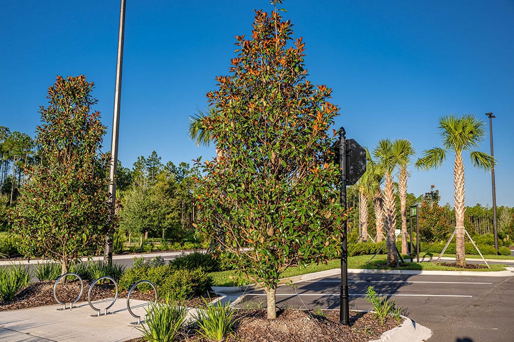 Sun State Landscaping Publix