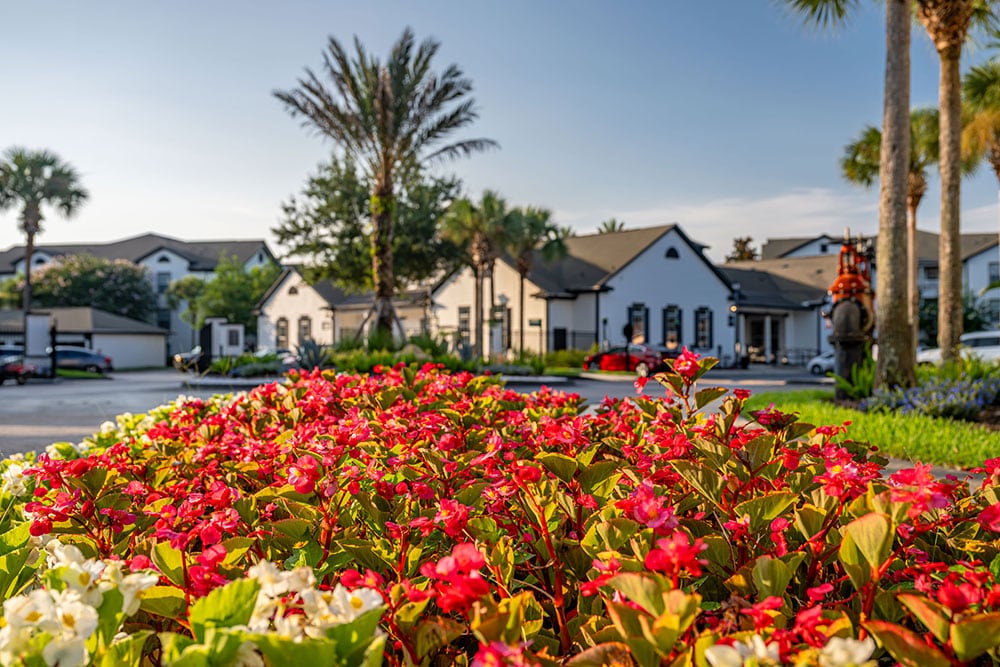 Sun State Landscaping Seasonal Commercial
