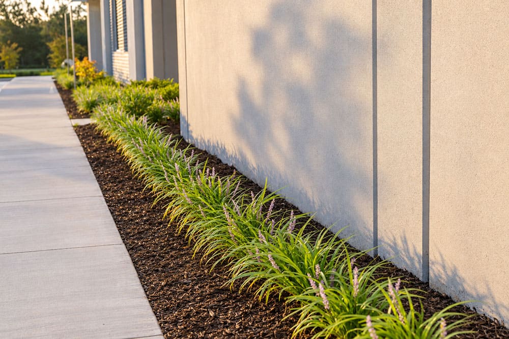 Sun State Mulch #2
