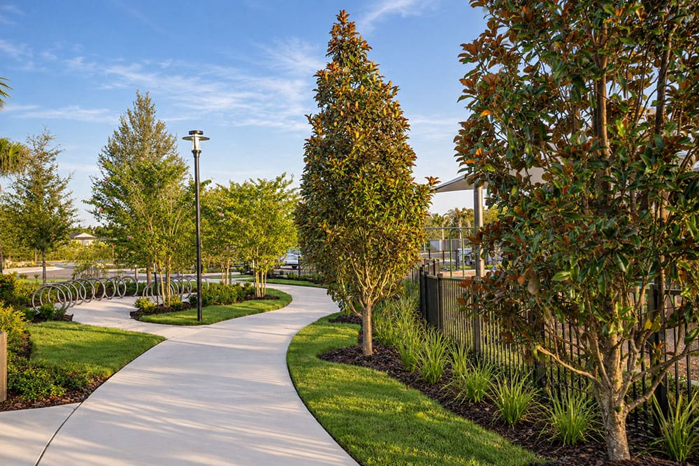 Sun State Mulch #4