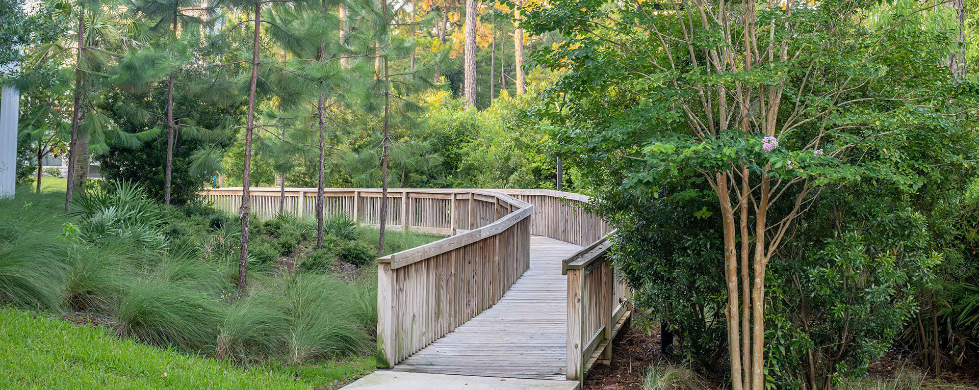 photo of outdoor walkway over wooded swamp