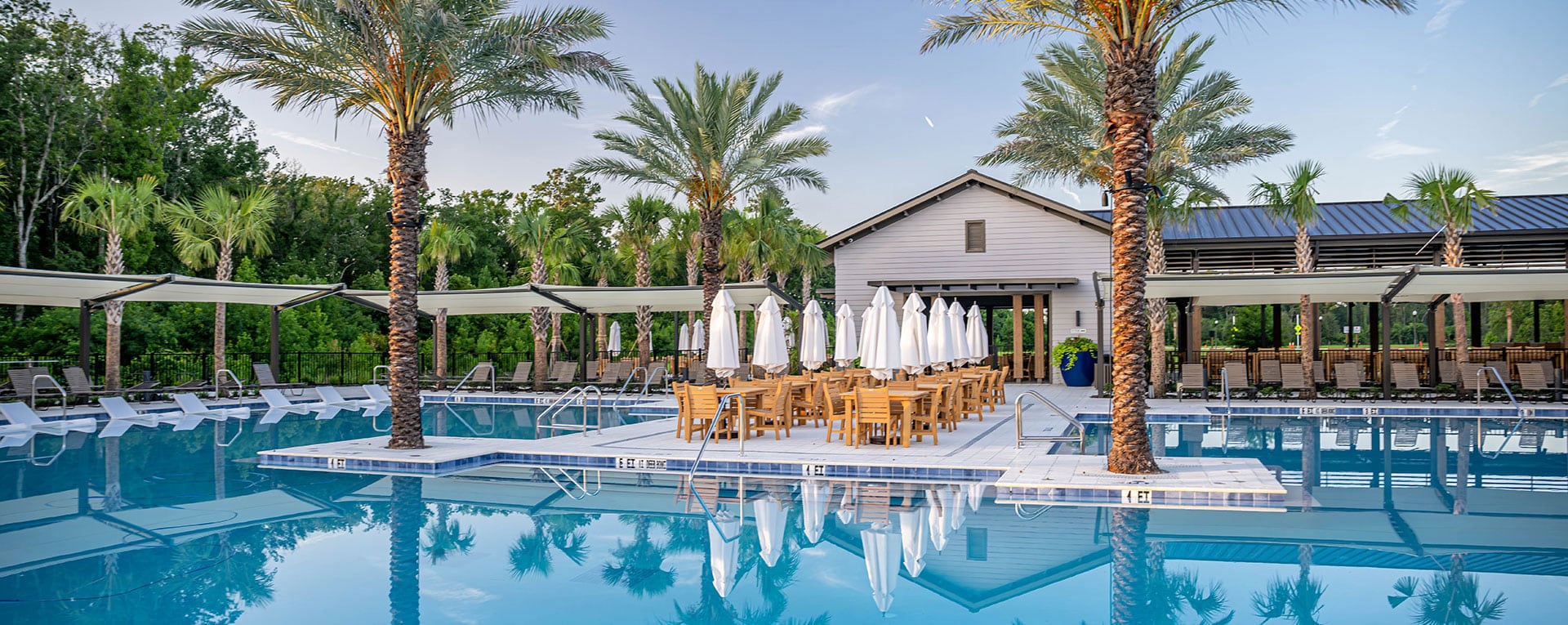 Your Career photo of pool area with palm trees